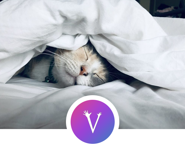 Reducing Late Night Worry Practical Tips for Better Sleep Move it or Lose it